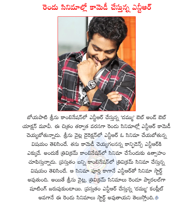 telugu hero ntr,ntr latest movie dammu,ntr and boyapati srinu combo movie dammu,ntr next movie with srinu vytla,ntr next movie with trivikram,ntr doing two comedy movies at a time,ntr and triviktram combo movie will start in 2012  telugu hero ntr, ntr latest movie dammu, ntr and boyapati srinu combo movie dammu, ntr next movie with srinu vytla, ntr next movie with trivikram, ntr doing two comedy movies at a time, ntr and triviktram combo movie will start in 2012